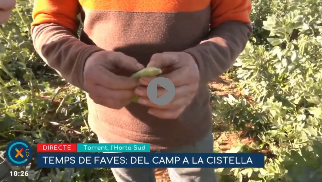 Collim faves torrentines de temporada amb Valentí